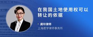 在我国土地使用权可以转让的依据
