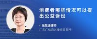 消费者哪些情况可以提出公益诉讼