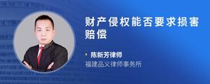 财产侵权能否要求损害赔偿