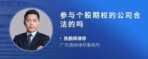 参与个股期权的公司合法的吗
