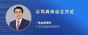 公司具体设立方式