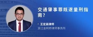 交通肇事罪既遂量刑指南?