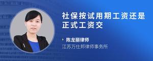 社保按试用期工资还是正式工资交