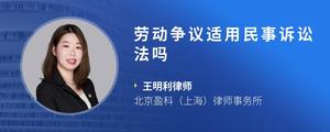 劳动争议适用民事诉讼法吗