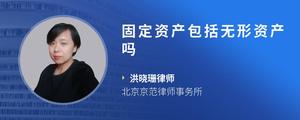 固定资产包括无形资产吗