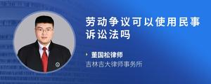 劳动争议可以使用民事诉讼法吗