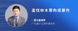 滥伐林木罪构成要件