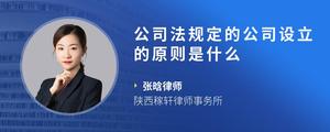 公司法规定的公司设立的原则是什么