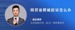 网贷逾期被起诉怎么办