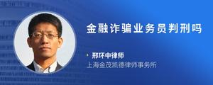 金融诈骗业务员判刑吗