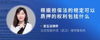 根据担保法的规定可以质押的权利包括什么