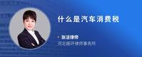 什么是汽车消费税
