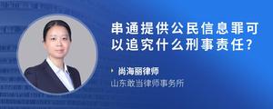 串通提供公民信息罪可以追究什么刑事责任??