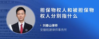 担保物权人和被担保物权人分别指什么