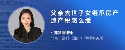 父亲去世子女继承房产遗产税怎么缴