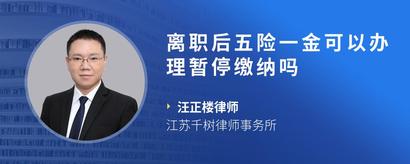 离职后五险一金可以办理暂停缴纳吗