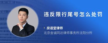 违反限行尾号怎么处罚