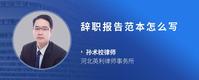 辞职报告范本怎么写
