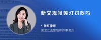 新交规闯黄灯罚款吗