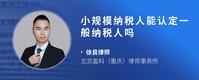 小规模纳税人能认定一般纳税人吗