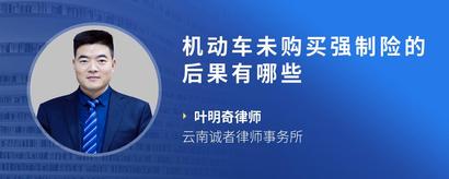 机动车未购买强制险的后果有哪些