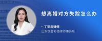 想离婚对方失踪怎么办