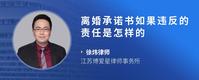 离婚承诺书如果违反的责任是怎样的