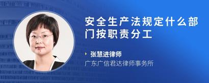 安全生产法规定什么部门按职责分工