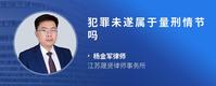 犯罪未遂属于量刑情节吗