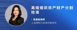 离婚婚前房产财产分割给谁