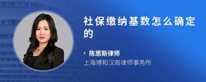 社保缴纳基数怎么确定的