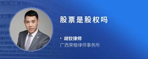 股票是股权吗