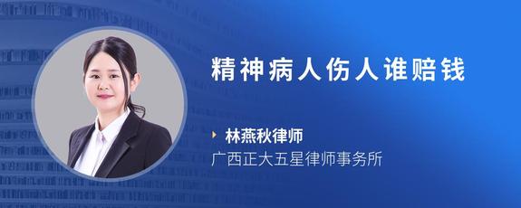 精神病人伤人谁赔钱