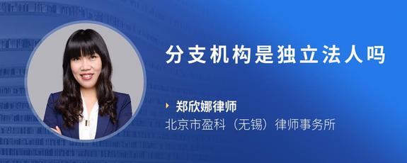 分支机构是独立法人吗