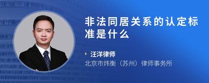 非法同居关系的认定标准是什么