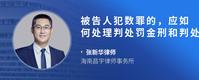 被告人犯数罪的，应如何处理判处罚金刑和判处没收财产