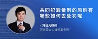 共同犯罪量刑的原则有哪些如何去处罚呢