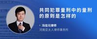 共同犯罪量刑中的量刑的原则是怎样的