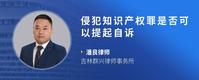 侵犯知识产权罪是否可以提起自诉