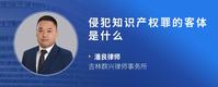 侵犯知识产权罪的客体是什么