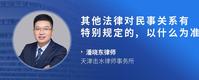 其他法律对民事关系有特别规定的,以什么为准