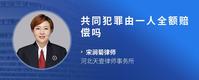 共同犯罪由一人全额赔偿吗