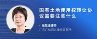 国有土地使用权转让协议需要注意什么