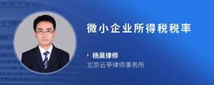 微小企业所得税税率