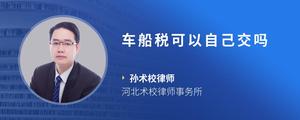 车船税可以自己交吗