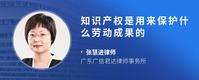 知识产权是用来保护什么劳动成果的