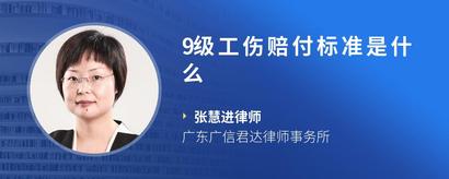 9级工伤赔付标准是什么