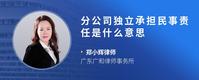分公司独立承担民事责任是什么意思