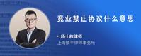 竞业禁止协议什么意思