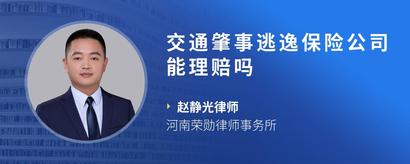 交通肇事逃逸保险公司能理赔吗